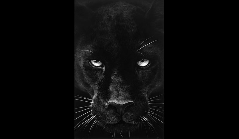 2020 Robert Longo 